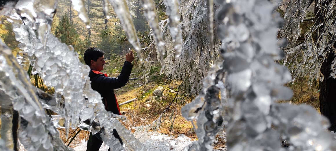 WhatsApp Image 2025-11-24 at 13.46.34 (3)