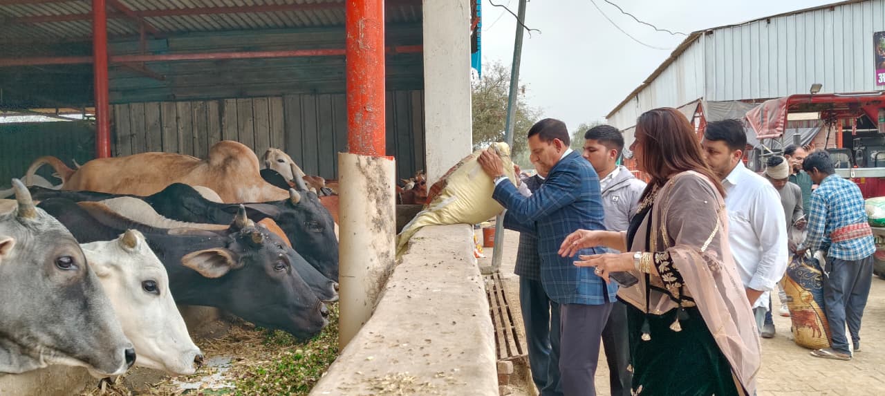 WhatsApp Image 2025-11-29 at 12.10.43 PM