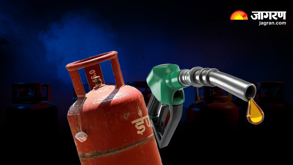 WhatsApp Image 2025-11-30 at 17.47.54