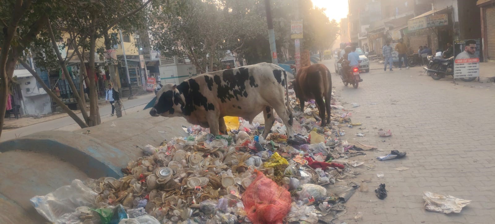 01sbd_6_01122025_136