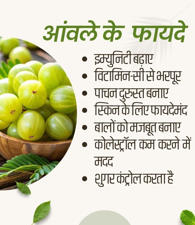 Amla Benefits (1)