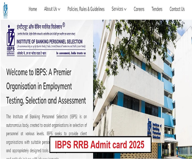 IBPS RRB Clerk Admit card 2025