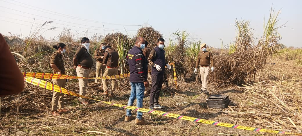 WhatsApp Image 2025-12-01 at 2.33.29 PM (1)