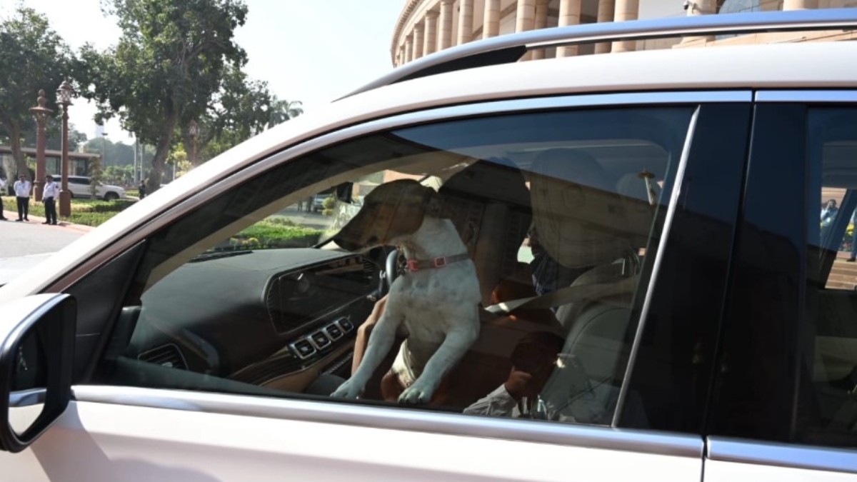 संसद में कुत्ता लेकर पहुंची रेणुका चौधरी (फोटो सोर्स- एएनआई) renuka