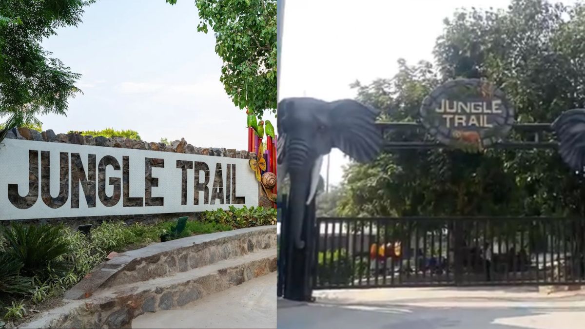 Noida Jungle Trail