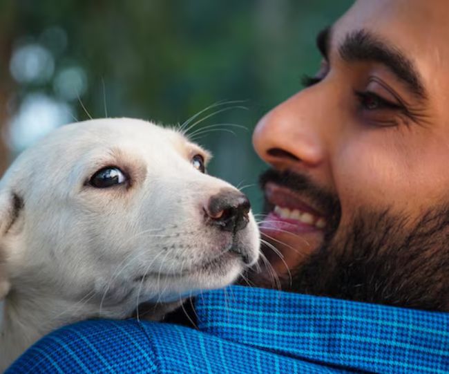 how dogs show affection