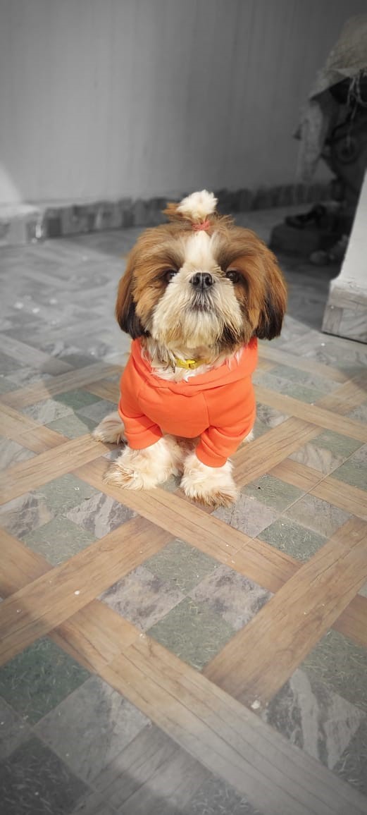 02GKC_M_60_02122025_496