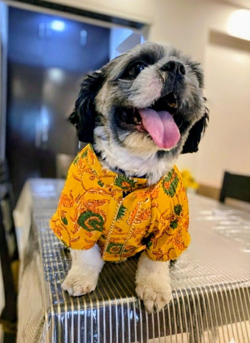 02GKC_M_62_02122025_496