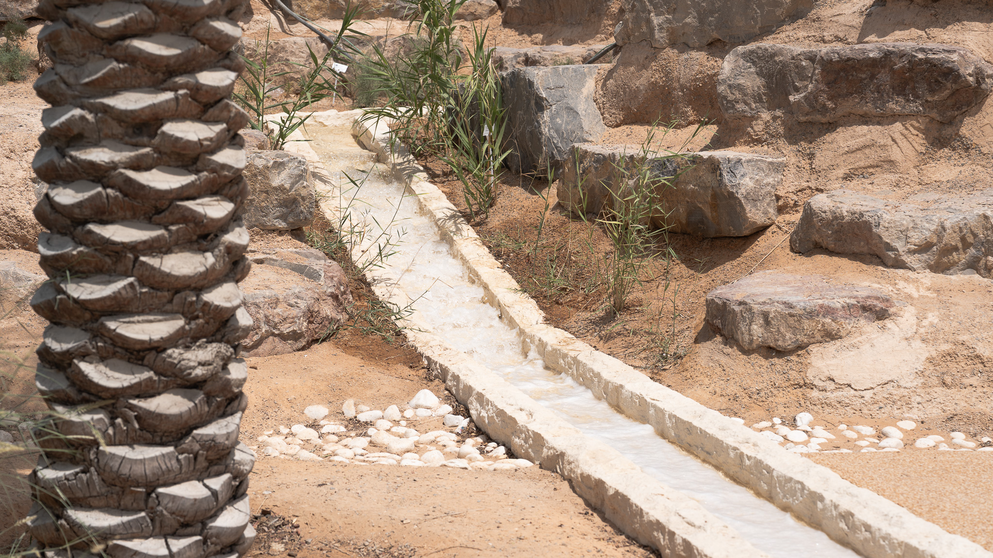 Zayed National Museum 4