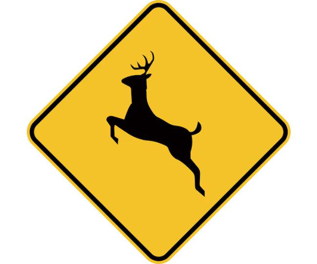 DEER CROSSING