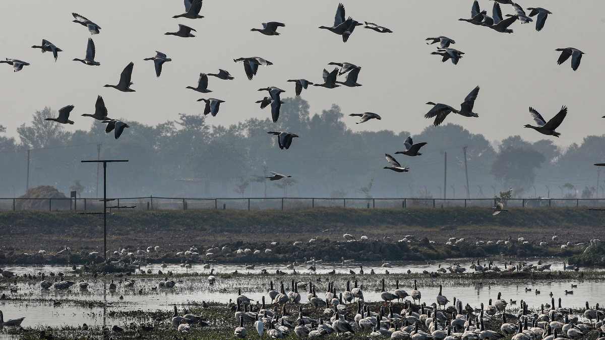 IMD Weather Update (3)