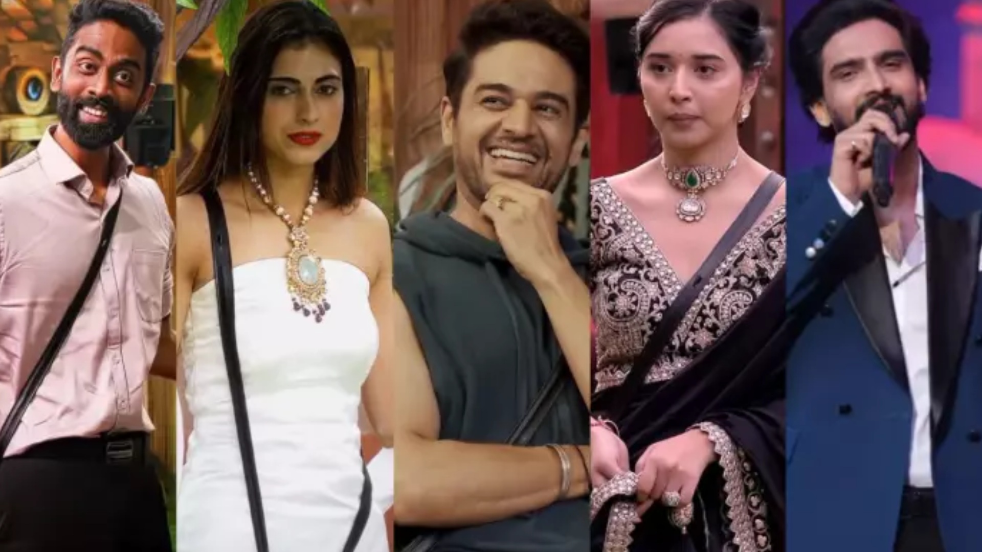 bigg boss 19 (3)