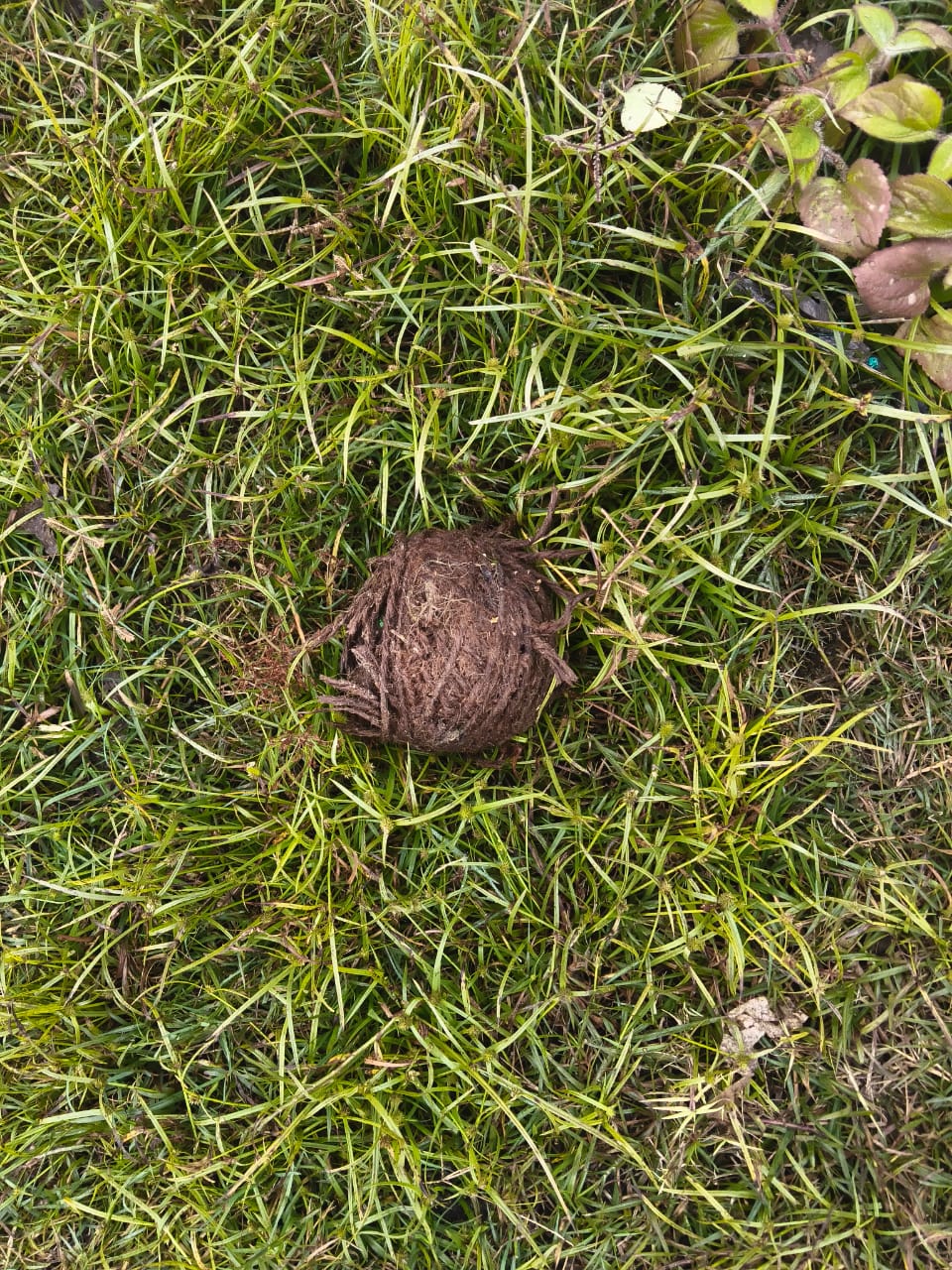 WhatsApp Image 2025-12-08 at 12.15.00 PM