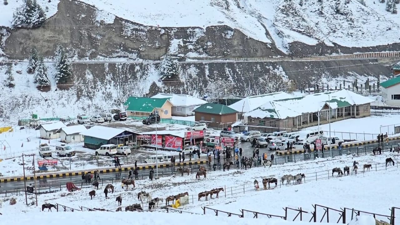 WhatsApp Image 2025-12-08 at 7.31.50 PM