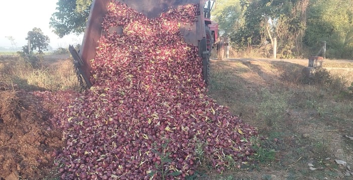 shr onion throwing 2154