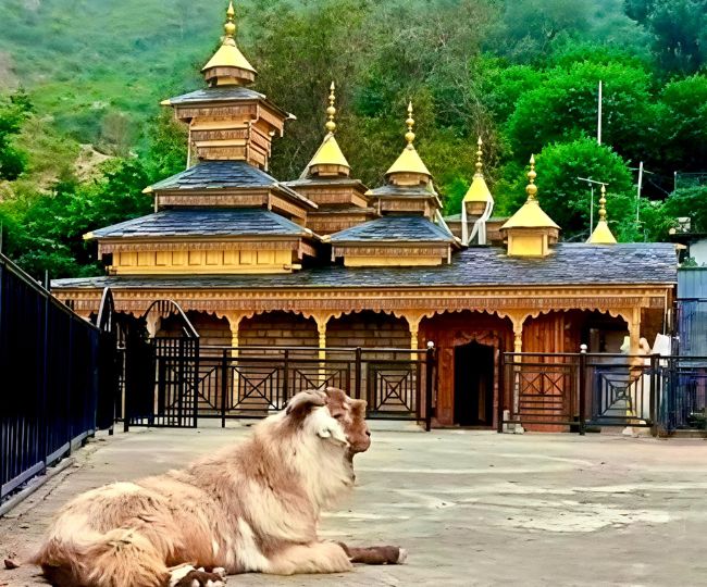 Mahasu Maharaj Bakra