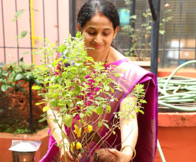 tulsi-vivah i