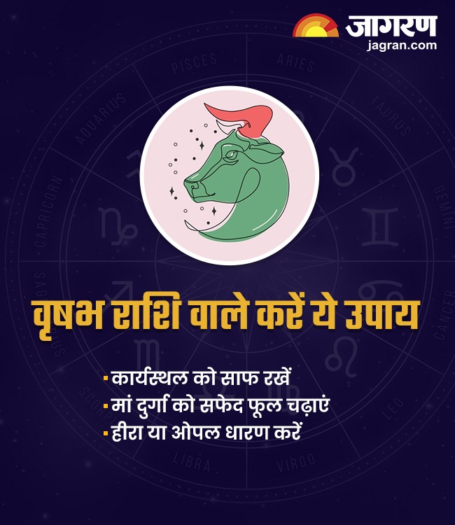 WhatsApp Image 2025-12-11 at 8.25.15 PM