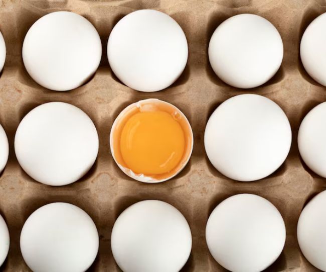 eggs cancer risk