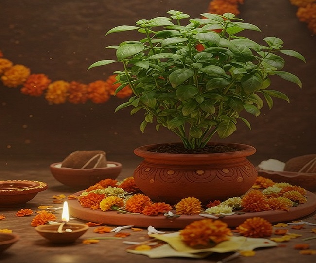 Tulsi Pujan Diwas 2025 puja rituals 1