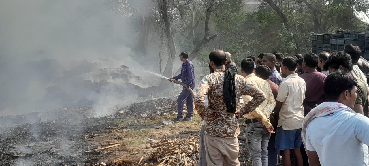 WhatsApp Image 2025-12-13 at 12.39.14 PM