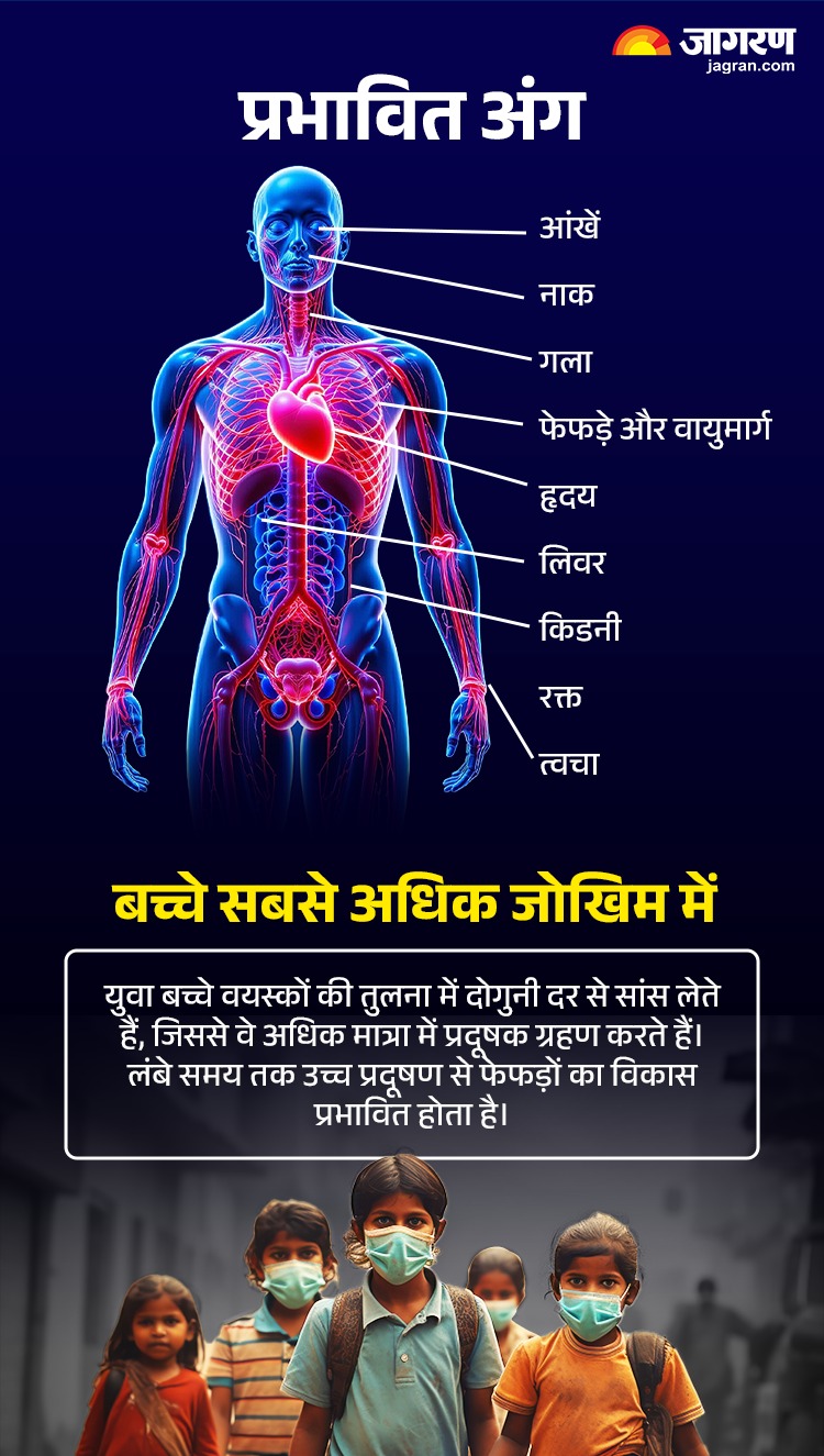 WhatsApp Image 2025-12-15 at 11.08.33