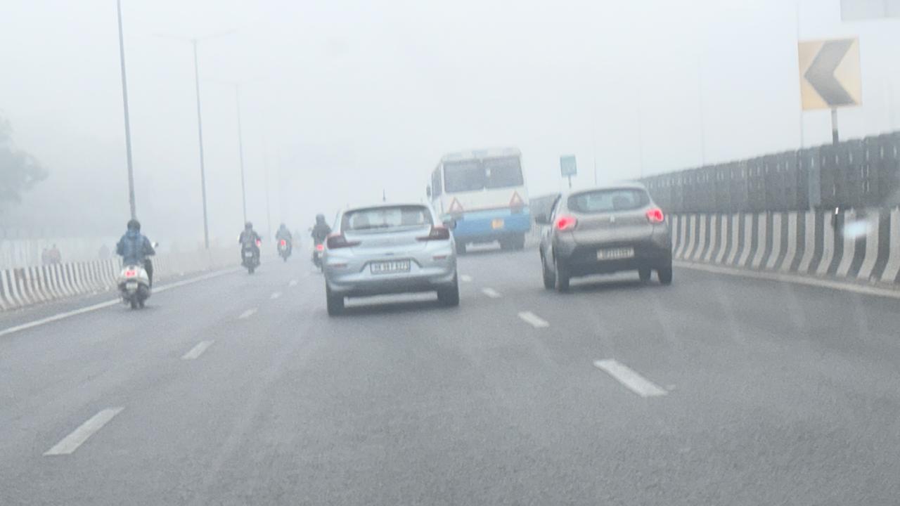 WhatsApp Image 2025-12-15 at 8.41.53 AM