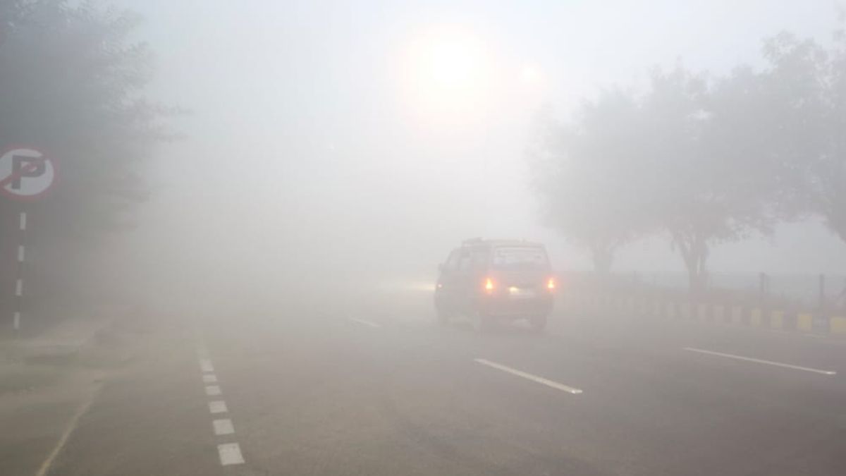 Noida Fog (2)