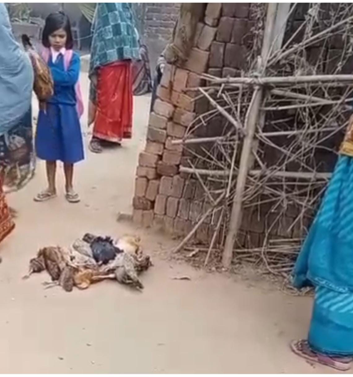 WhatsApp Image 2025-12-16 at 12.42.55 PM