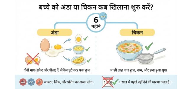 chicken and eggs for babies