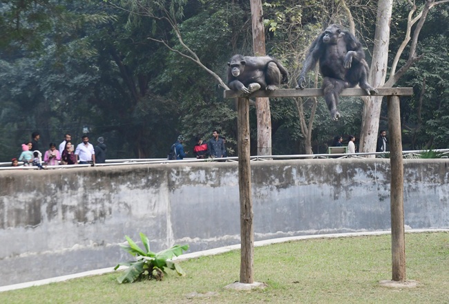 Patna Zoo 11