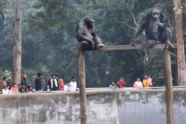 Patna Zoo 7