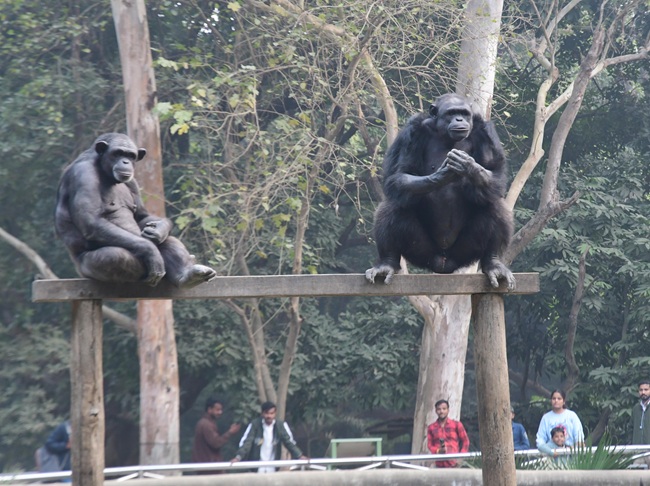 Patna Zoo 8