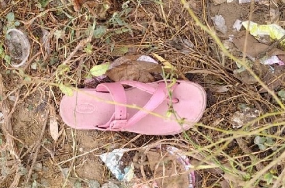 Unnao Murder News Updates 1