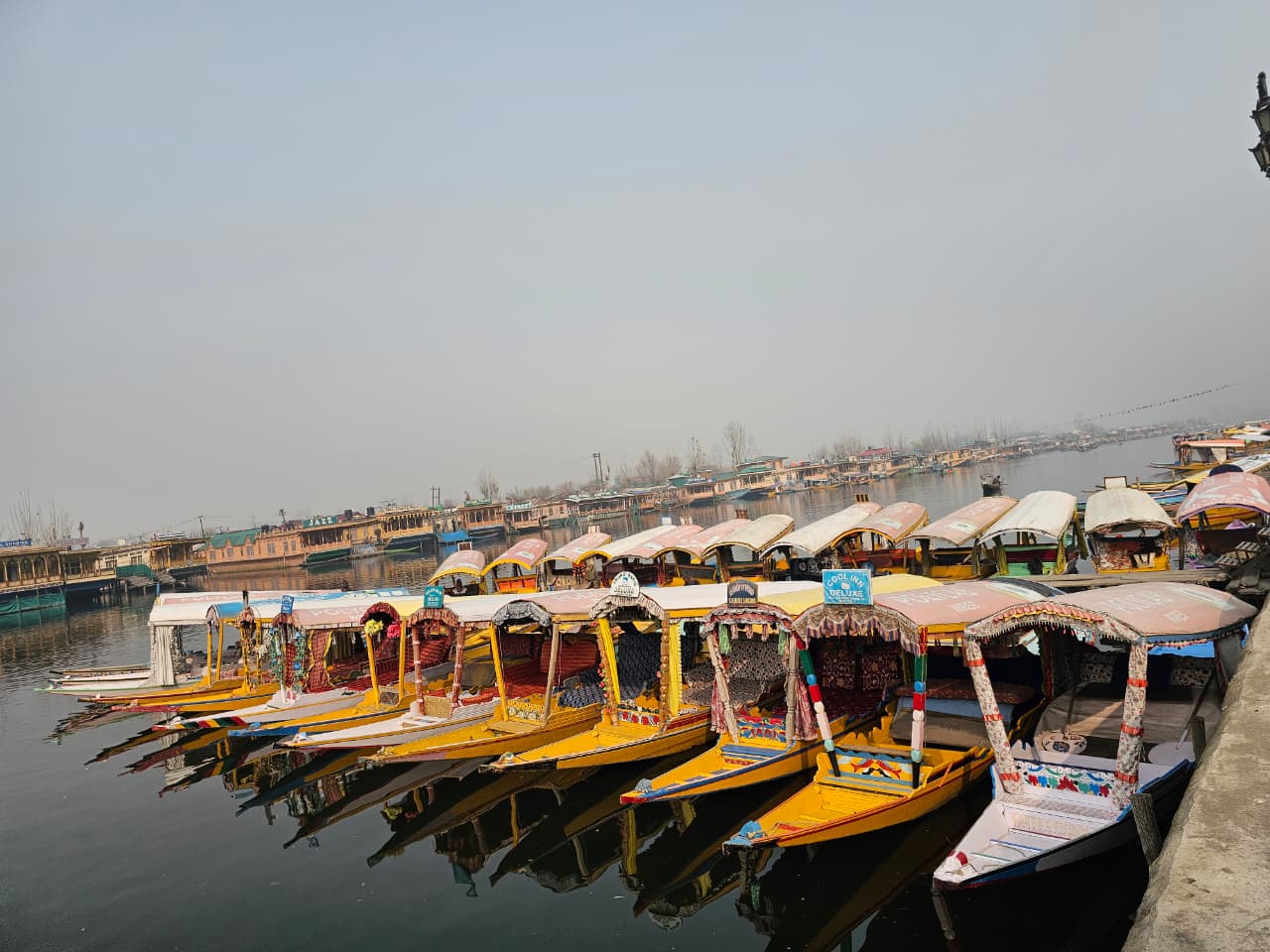 WhatsApp Image 2025-12-12 at 16.39.12