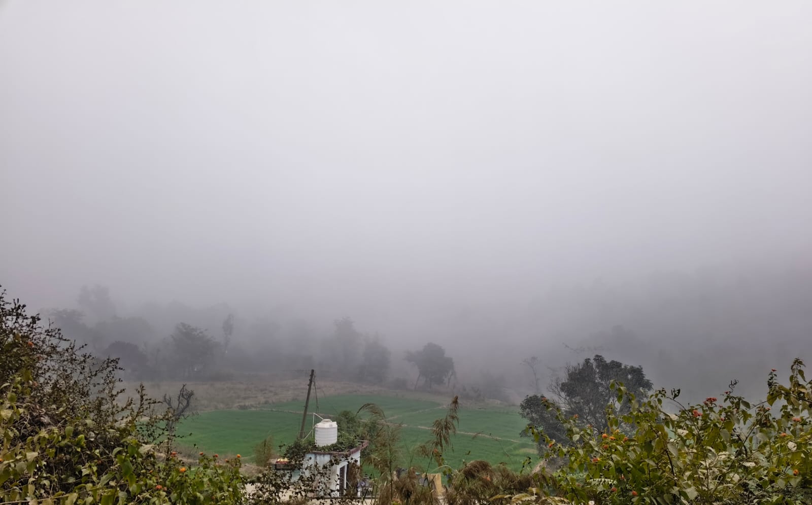 WhatsApp Image 2025-12-17 at 3.04.20 PM