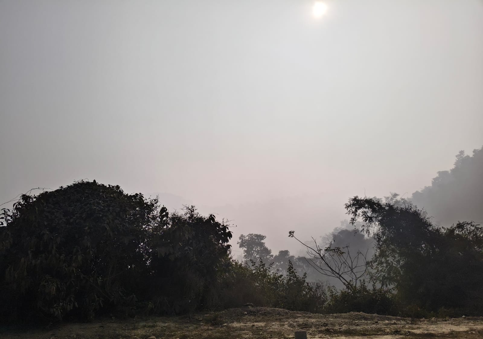 WhatsApp Image 2025-12-17 at 3.04.22 PM (2)