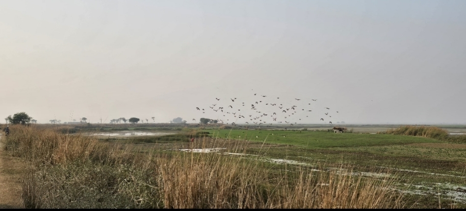 17SKT_M_15_17122025_208