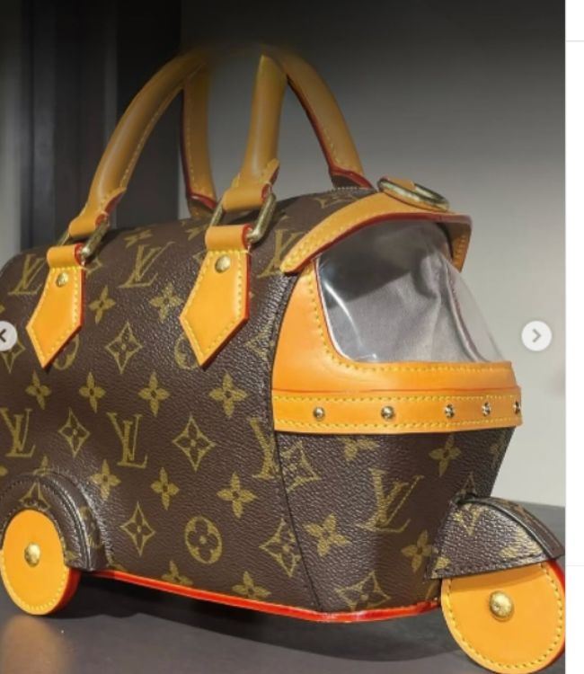 Louis vitton Auto Bag