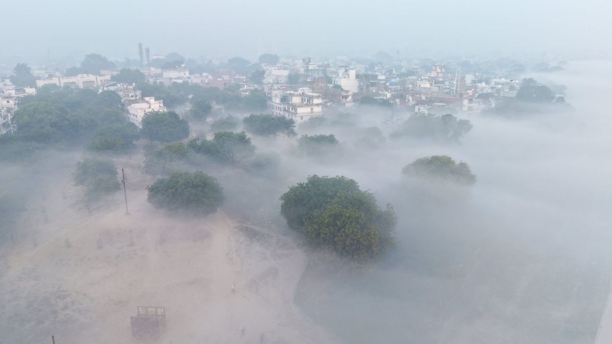 President Murmu Worship (44)