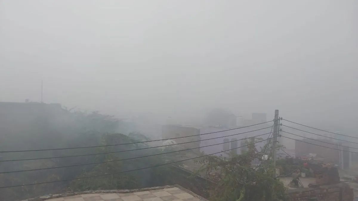 President Murmu Worship (45)