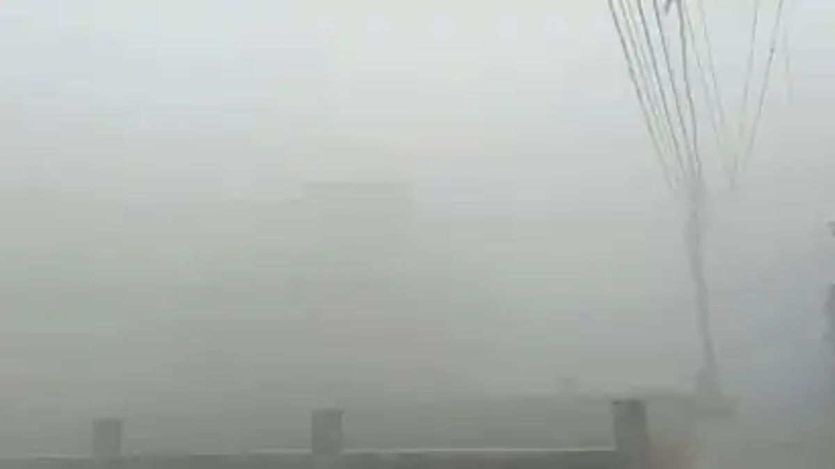 President Murmu Worship (46)