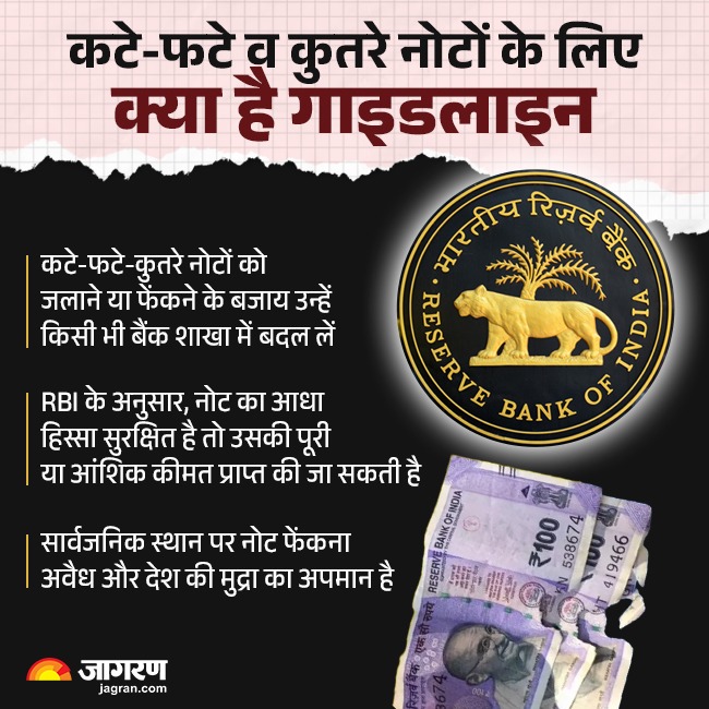 WhatsApp Image 2025-12-20 at 9.08.38 PM