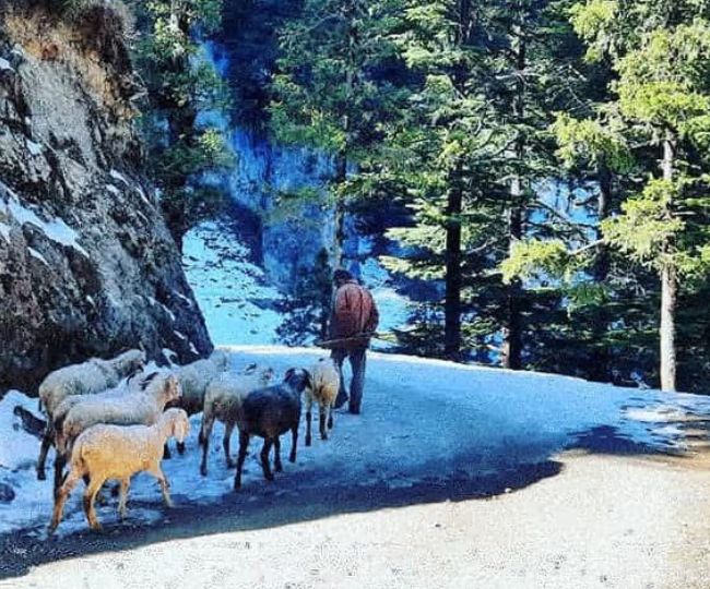 chakrata for tourist