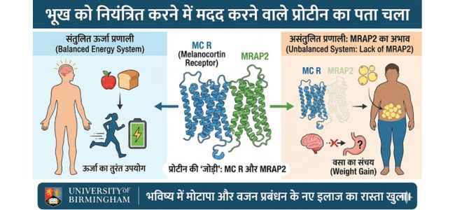 Is obesity genetic or lifestyle