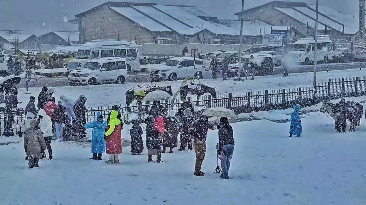 WhatsApp Image 2025-12-22 at 5.50.09 PM