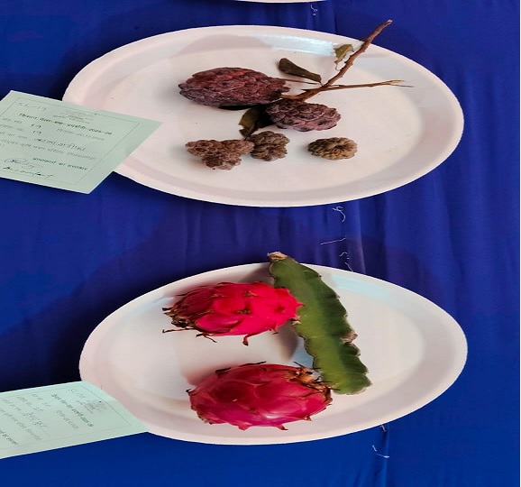 agricultural fair held in Bhagalpur