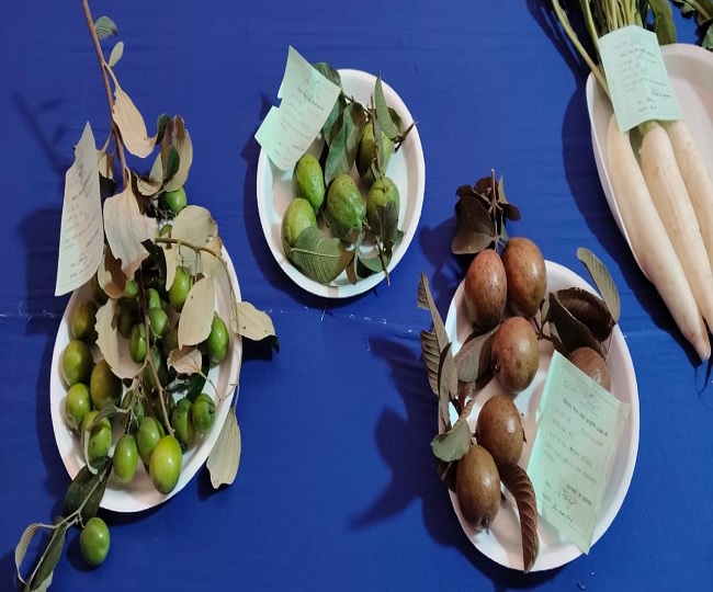 agricultural fair held in Bhagalpur2