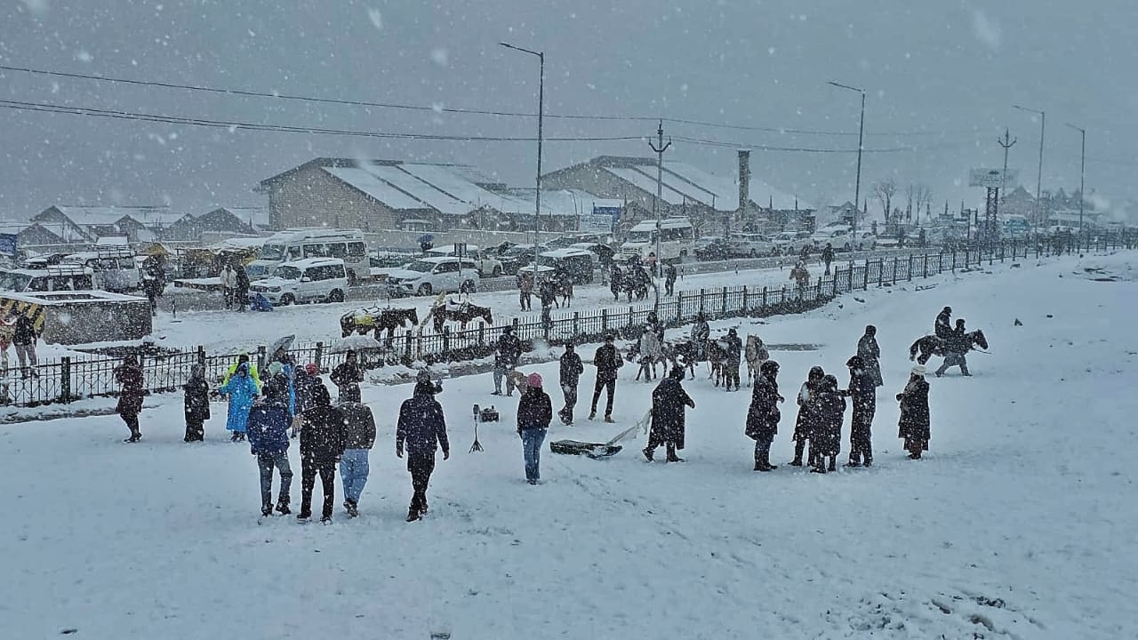 WhatsApp Image 2025-12-22 at 17.50.21 (1)