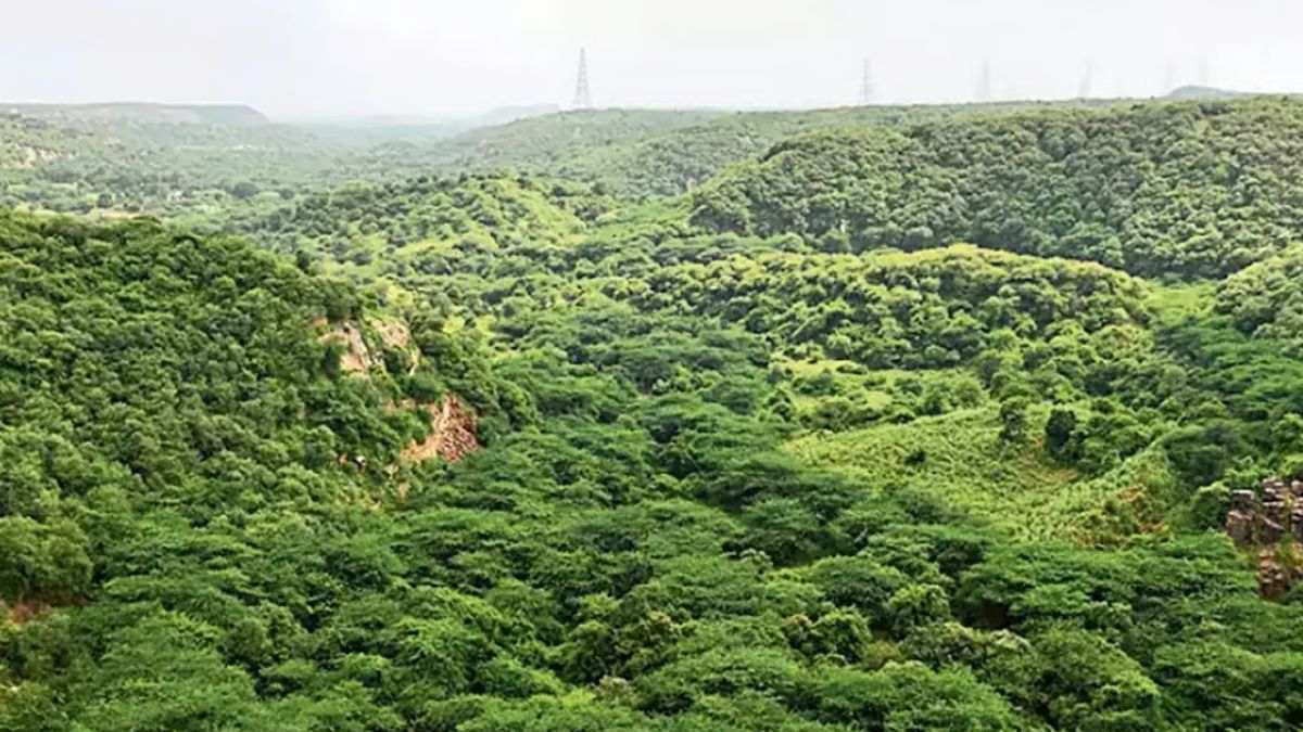 Aravalli (1)
